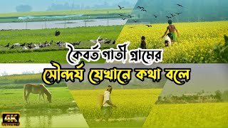 কৈবর্ত গাতীর গ্রামের অজানা ইতিহাস ও ঐতিহ্য এবং গ্রামের অপরূপ সৌন্দর্য। Beautiful Village Life ।