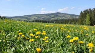 Urlaub am Bauernhof in Wenigzell