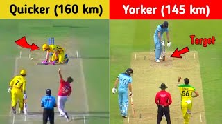 Top 10 Yorker Beast Bowlers in Cricket History || Yorker Master Duo || By The Way