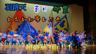 羽跳天 WinterYOSAKOI in 多賀城2022【超豪華！蒼月 かみかわ華しぶき 那豊 】