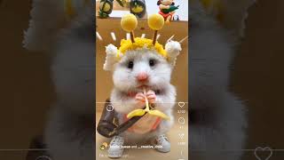 Cute hamster not offical