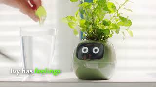 🌱 TUYA IVY Smart Planter – Inteligentna Doniczka, która Ożywia Twoje Rośliny! 🌿