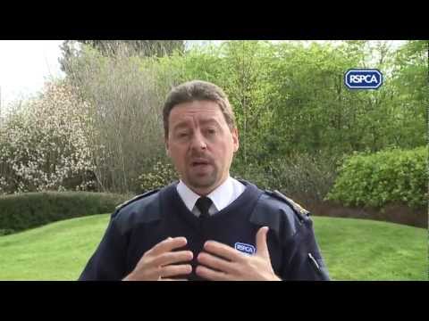 Could you be an RSPCA inspector? Could you be an RSPCA inspector?