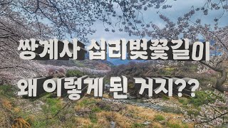 쌍계사 십리벚꽃길 / 남들보다 조금 빨리 본 꽃대궐 / 하동 탐방 / 2023년 봄은 벚꽃이 빨리 피었어요~