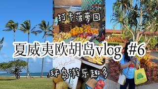 夏威夷欧胡岛旅行攻略vlog #6 Circle Island Tour环岛游 ｜看欧胡岛北岸风景 打卡网红菠萝园Dole Pineapple Plantation ｜Oahu Hawaii Trip