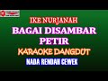 KARAOKE DANGDUT BAGAI DISAMBAR PETIR - IKE NURJANAH (COVER) NADA RENDAH CEWEK Cminor