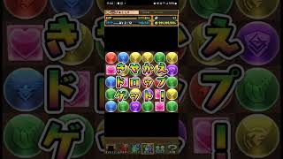 高達合作五連抽 ガンダムシリーズコラボガチャ2 5連続ガチャ #パズドラ #ガンダムシリーズコラボ