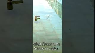 পানির ভিতরে সাপ!!! Snake in water.