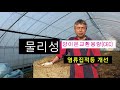 귀농귀촌. 토양관리. 유기물투입. 볏짚. 탄질율