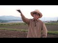 ［rice cultivation 2 first time using the tractor s reverse rotation to till the soil