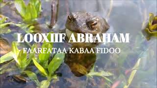 LOOXIIF ABRAHAM: FAARFATAA KABAA FIDOO| Faarfannaa afaan Oromoo | Lyric🎹🎹🎤