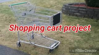 Lowered shopping cart project