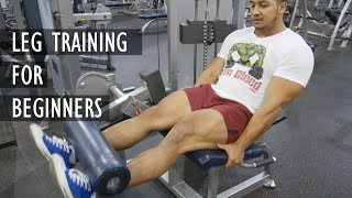 Leg Training for Beginners