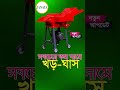 খর ঘাস কাটার মেশিন ঘাস ও খড় কাটুন কম দামের মেশিন খড় কাটার ডিজিটাল মেশিন chaff cutter machine