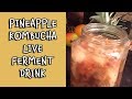 Pineapple Kombucha Live Ferment Drink | Dr. Robert Cassar