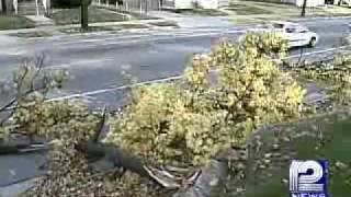 Wind Blows Trees, Downs Power Lines