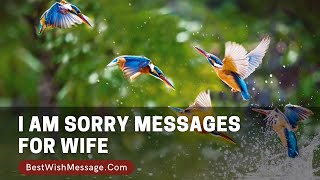I Am Sorry Messages for Wife | Romantic and Sweet Apology Texts