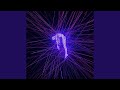 Echoform