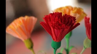 Como hacer flores de papel / Flor de papel crepom FÁCIL