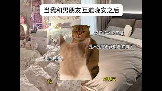 当我和男朋友互道晚安之后 #情侣 #恋爱日常 #猫meme小剧场