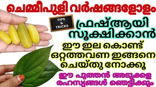 ഈ ഇല കൊണ്ട് ഇങ്ങനെയും ഉപയോഗമോ ഇരുമ്പൻ പുളി വർഷങ്ങളോളം ഫ്രഷ് ആയിരിക്കാൻ Amazing Kitchen Tips Hacks