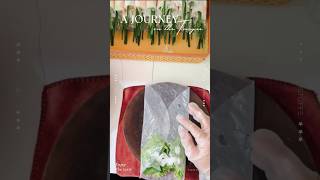 Cách cuốn gỏi cuốn đơn giản mà đẹp mắt #shortsfeed #viralvideo #foryou #xuhuongyoutube #meovat