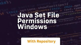 java set file permissions windows