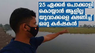 Pokkali Rice Farming Vlog