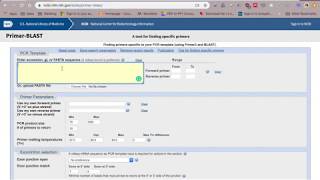 SYBR Green Primer Design for qPCR