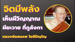 จิตมีพลัง มีฤทธิ์เห็นผีดวงวิญญาณ เจอผียะวายที่ภูลังกา เสียงหลวงพ่อสมภพ โชติปัญโญ