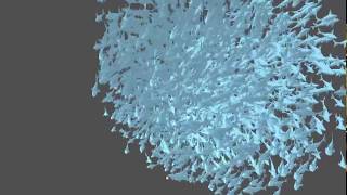 Fish Flock - GPU Flocking 2000 fishes