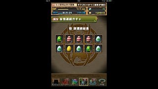 パズドラ【友情ガチャ10連続】