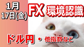 【TAKA FX】ドル円他各通貨の環境認識解説。各種指数、GOLDなど　1月17日(金)