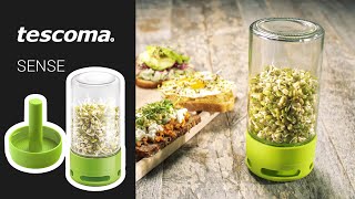 Glass sprouting jar SENSE