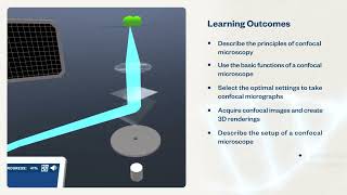 Confocal Microscopy | Virtual Lab