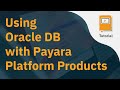 Using Oracle DB with Payara Platform Products