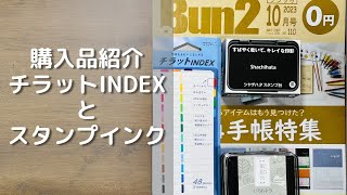 【購入品紹介】チラットINDEXとスタンプインク