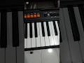 Keyboard mungil dan ringkas Casiotone seri pertama yaitu CT-S100