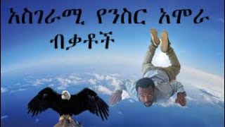 የንስር አሞራ አስገራሚ ብቃቶች እና ከእኔ ፣ አንቺ፣  አንተ ሁላችንም ጋር ሲነፃፀር