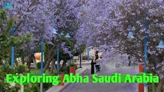 Exploring Abha Saudi Arabia 2021 short video roadtrip!