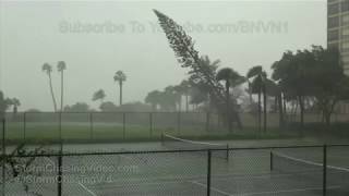 Trees Falling Compilation #4 No Music