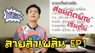 สอนดีดพิณ ลายลำเพลิน EP.1 ลายเกริ่น พร้อมโน้ต|หนิง ซิงกิ รีวิวบรรเลง|ning singi [how to play phin]