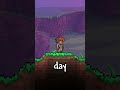 hair is useful in terraria