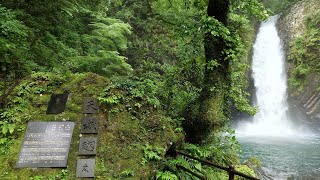 ◎天城超え 石川さゆり 浄蓮の滝【一心同体】20230530 伊豆の踊子と蛍の夕べ