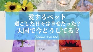 天国の愛するペット🌈💫一緒に過ごした日々…どう感じていた？今は天国でどうしてる？何を思ってる？【タロット🌟オラクルカード】天国からあなたへのメッセージ💫愛犬・愛猫・生き物・動物