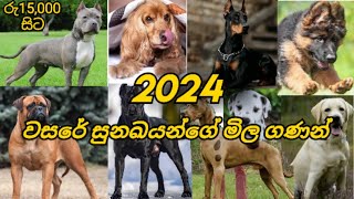 Dogs price in sri lanka ||True Price For Best 12 Dog Breeds In sri lanka || New price 2024