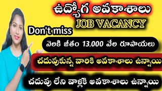 ఉద్యోగ అవకాశాలు job vacancy 2023