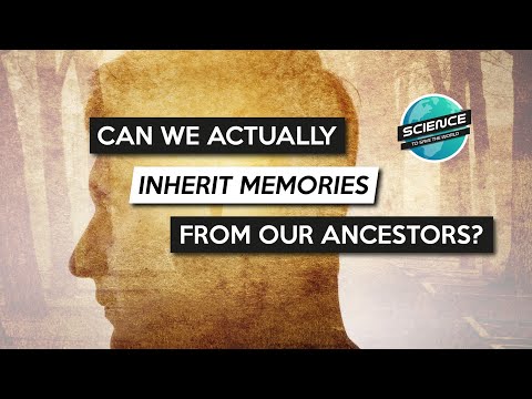 What role does genetics play in memory?
