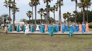 メアヌイ フラ  ポーアイ　Aloha time 2015　辻堂海浜公園