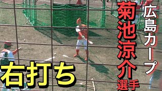 菊池涼介選手の右打ち【２０１９春季カープ日南キャンプ】